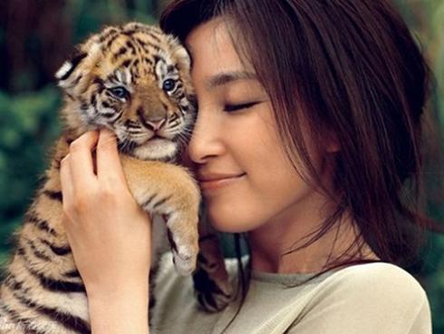 4 con giáp nữ thành đạt hết phần của thiên hạ trong năm Mậu Tuất