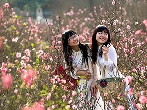 Dự báo thời tiết 14/2: Miền Bắc ấm tưng bừng, bão Sanba suy yếu