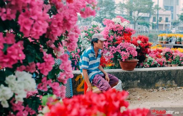 Chiều cuối năm, lang thang ở những chợ hoa truyền thống Sài Gòn đã thấy Tết về đến nơi rồi!-1