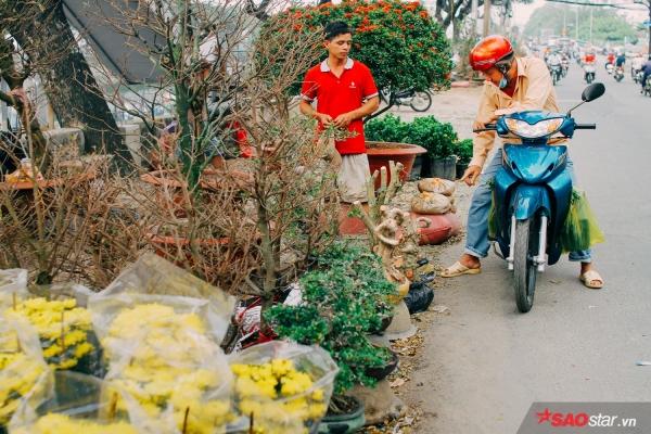 Chiều cuối năm, lang thang ở những chợ hoa truyền thống Sài Gòn đã thấy Tết về đến nơi rồi!-2