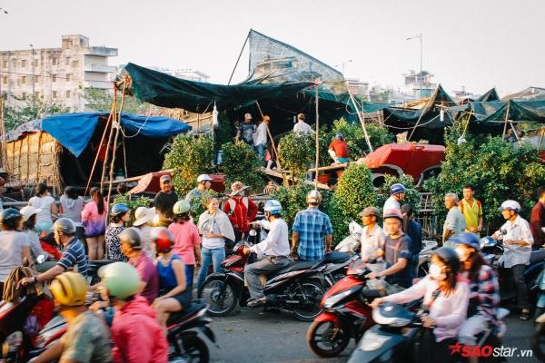 Chiều cuối năm, lang thang ở những chợ hoa truyền thống Sài Gòn đã thấy Tết về đến nơi rồi!-3