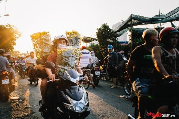 Chiều cuối năm, lang thang ở những chợ hoa truyền thống Sài Gòn đã thấy Tết về đến nơi rồi!-5