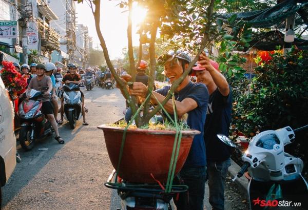 Chiều cuối năm, lang thang ở những chợ hoa truyền thống Sài Gòn đã thấy Tết về đến nơi rồi!-6