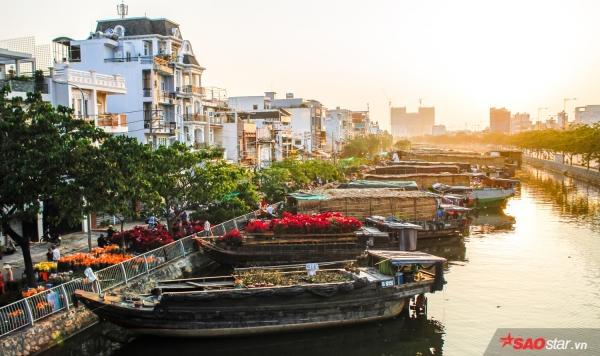 Chiều cuối năm, lang thang ở những chợ hoa truyền thống Sài Gòn đã thấy Tết về đến nơi rồi!-8
