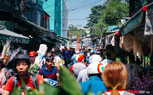 Chiều cuối năm, lang thang ở những chợ hoa truyền thống Sài Gòn đã thấy Tết về đến nơi rồi!-9