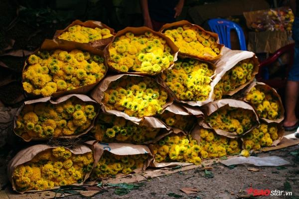 Chiều cuối năm, lang thang ở những chợ hoa truyền thống Sài Gòn đã thấy Tết về đến nơi rồi!-12