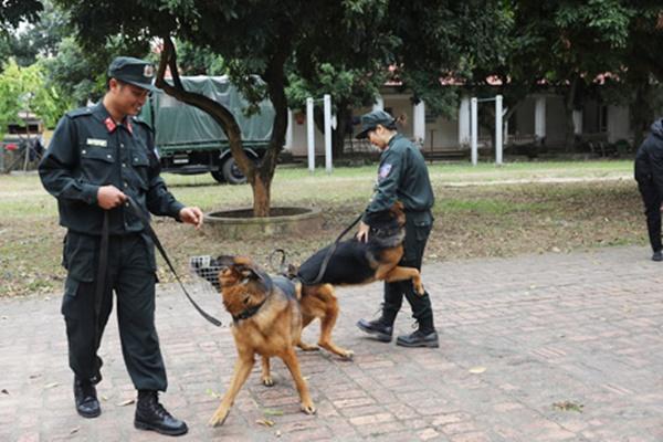 Chuyện cảm động về những chú chó nghiệp vụ-2