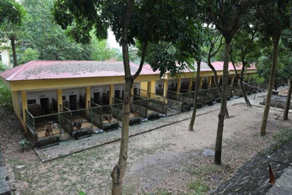 Chuyện cảm động về những chú chó nghiệp vụ-3