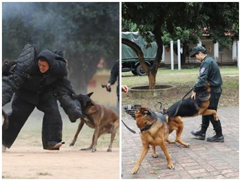 Đằng sau sự cố gấu Pooh của người Nhật ở Pyeongchang-6