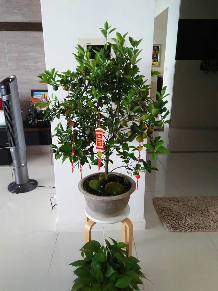 Không chỉ nhận lì xì 3 tỷ cho 30 phút xông đất nhà Hà Hồ, Mr Đàm còn làm ông tiên của Dương Triệu Vũ-10