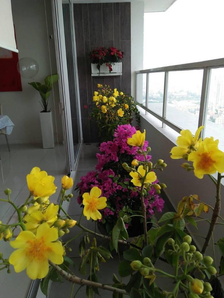 Không chỉ nhận lì xì 3 tỷ cho 30 phút xông đất nhà Hà Hồ, Mr Đàm còn làm ông tiên của Dương Triệu Vũ-11