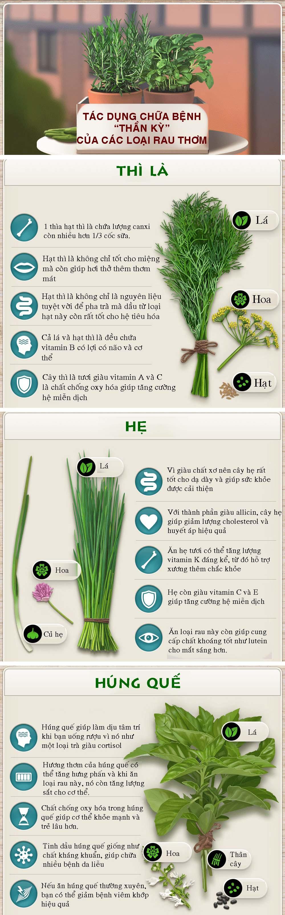 Tác dụng chữa bệnh thần kỳ của các loại rau thơm-1
