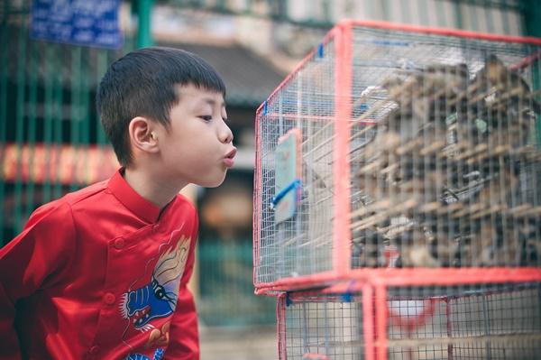 Gia đình Đăng Khôi hạnh phúc đi chùa đầu năm-11