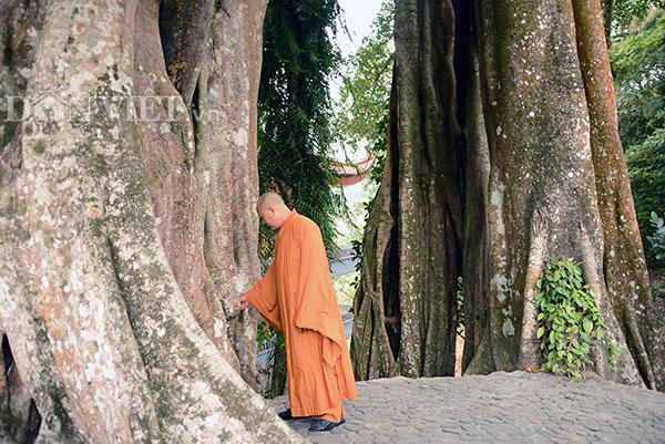 Ngày Tết, tìm phút tĩnh lặng nơi thiền đường Yên Tử-8