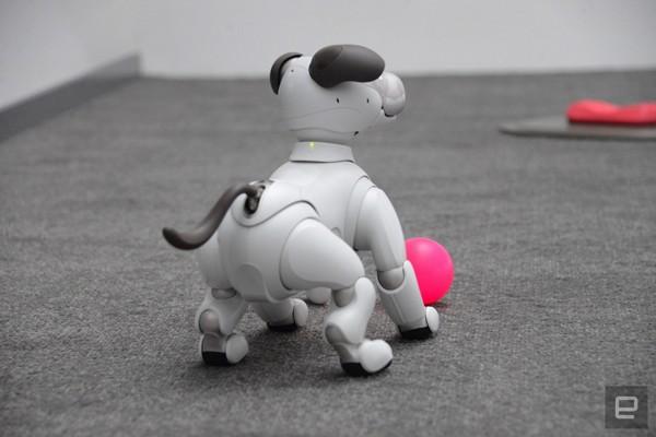 Năm mới Mậu Tuất, gặp chú chó robot dễ thương nhất hành tinh-2