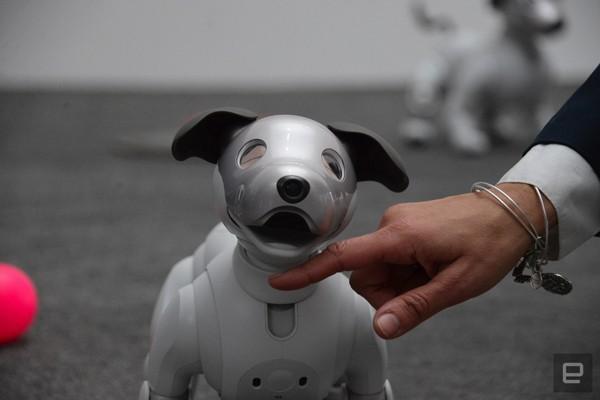 Năm mới Mậu Tuất, gặp chú chó robot dễ thương nhất hành tinh-4