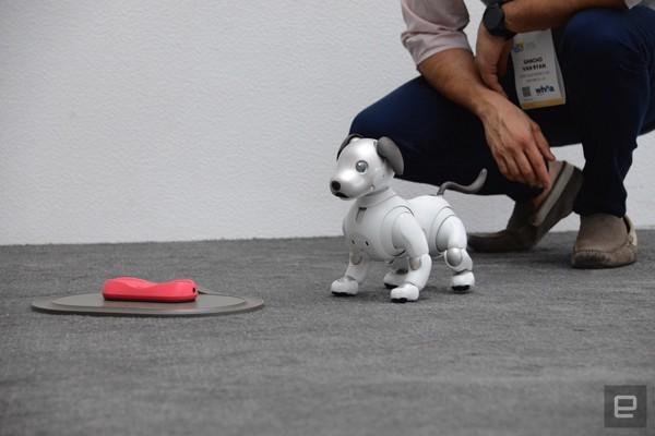 Năm mới Mậu Tuất, gặp chú chó robot dễ thương nhất hành tinh-5