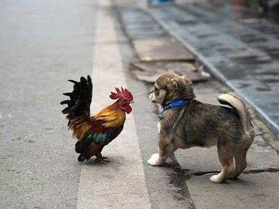 Những khoảnh khắc và câu chuyện đáng yêu được chia sẻ nhiều nhất trong dịp đầu năm mới 2018