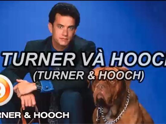 Clip: 10 bộ phim hay nhất về những chú chó nhất định phải xem