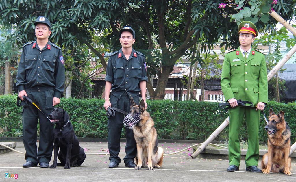 Lời kể của người có hơn 30 năm gắn bó cùng những chú chó nghiệp vụ-2