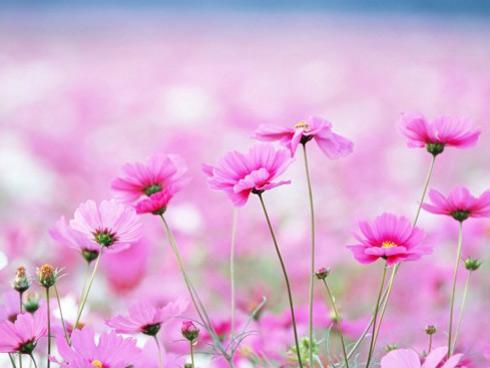 Tử vi thứ Ba ngày 20/2/2018 của 12 cung hoàng đạo