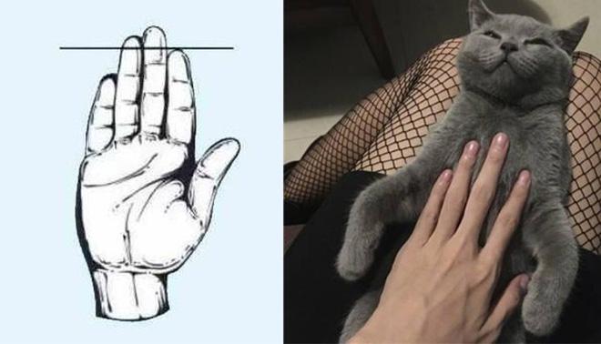 Từ ngón tay sẽ nhìn được phụ nữ nào có mệnh thiếu phu nhân, mệnh hưởng phúc trọn đời, mệnh phú quý không ai sánh bằng-2