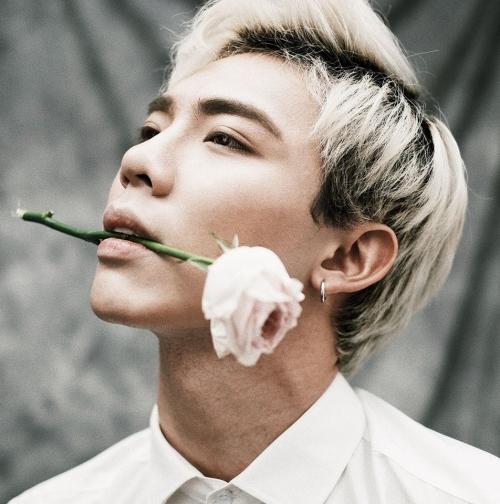 Vpop 2018 và màn ‘tổng tấn công’ từ các nam thần: Bạn về team ai?-13