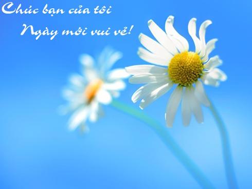 Tử vi thứ Năm ngày 22/2/2018 của 12 cung hoàng đạo