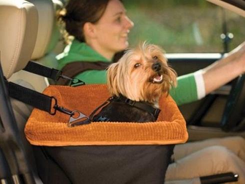 Bên trong casino bỏ hoang đầy ma mị ở Romania-10