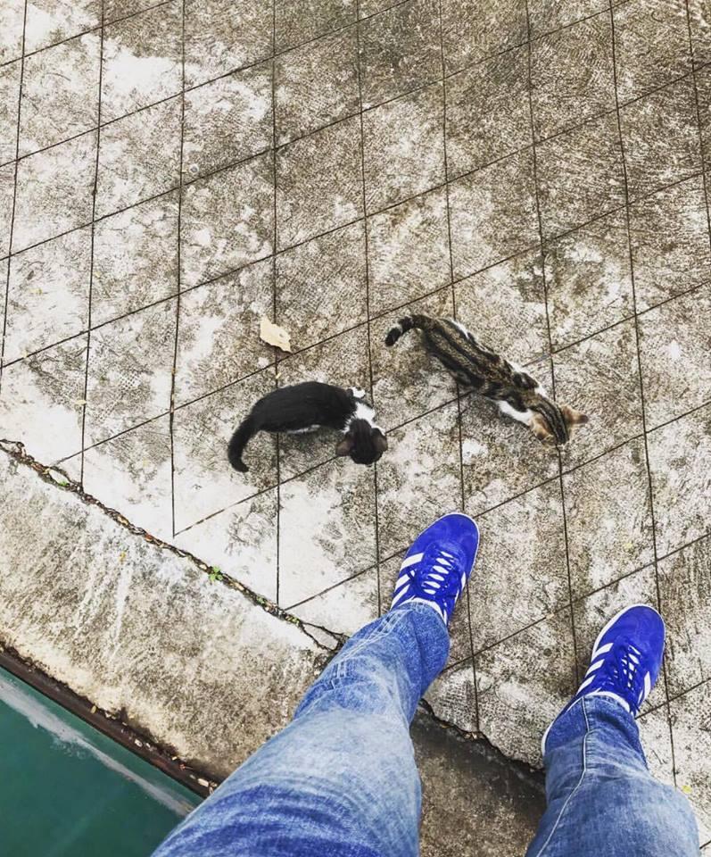 Ngất ngây trước bộ sưu tập giầy sneaker đắt đỏ của Harry Lu-6