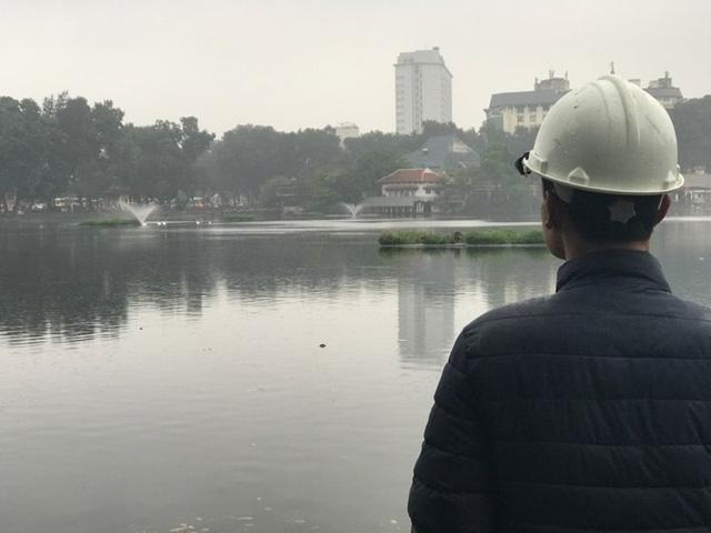 12 con thiên nga được trông coi như thế nào trong 7 ngày Tết?-1