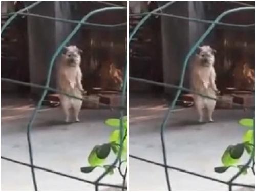 Cười rụng răng với định nghĩa tình yêu của trẻ-2