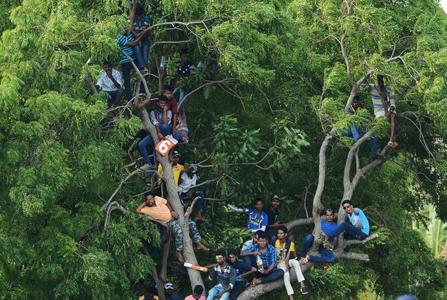 Bên kia có gái xinh hơn kìa anh em ơi.