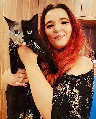 Chùm ảnh về chú mèo hai mặt đáng yêu nhất thế giới-10