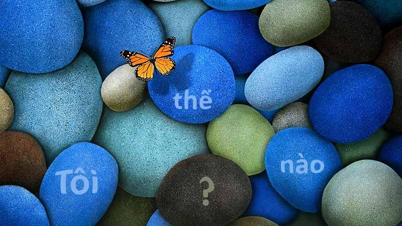 Màn hình nền điện thoại nói lên điều gì về con người bạn?-2