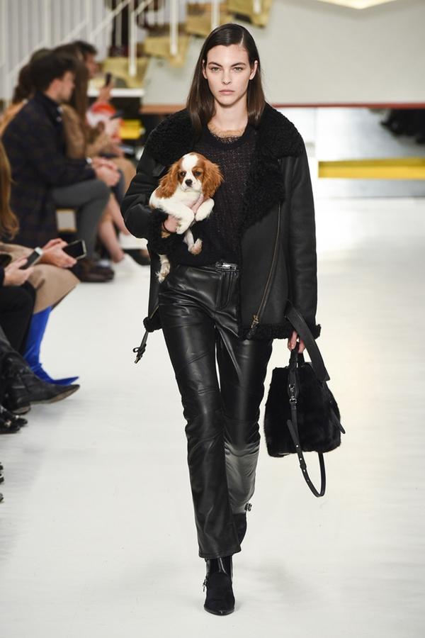 Tuần lễ thời trang Milan: Người mẫu vừa catwalk vừa bế trên tay 1 chú tiểu Tuất cực đáng yêu-3