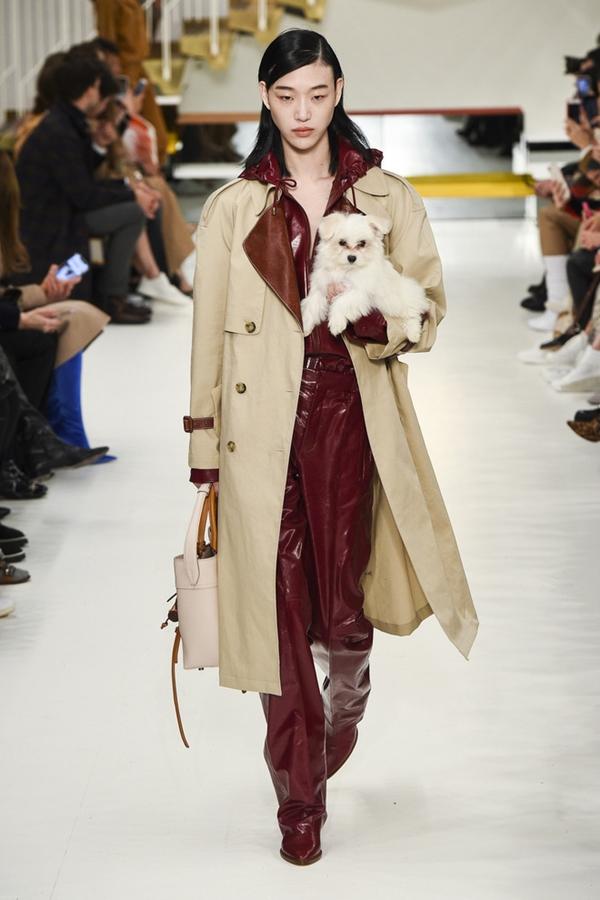 Tuần lễ thời trang Milan: Người mẫu vừa catwalk vừa bế trên tay 1 chú tiểu Tuất cực đáng yêu-4