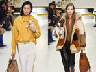 Tuần lễ thời trang Milan: Người mẫu vừa catwalk vừa bế trên tay 1 chú 'tiểu Tuất' cực đáng yêu