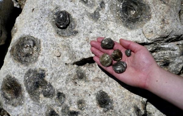 Tảng đá sinh con bí ẩn ở Bồ Đào Nha-6