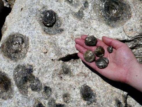 Những cung đèo đẹp và hiểm trở nhất Việt Nam-1