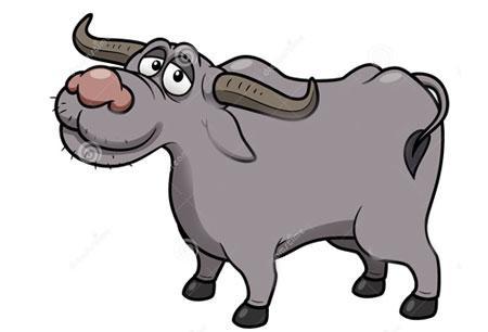 Trong 5 năm tới, những con giáp này sẽ công thành, danh toại-3