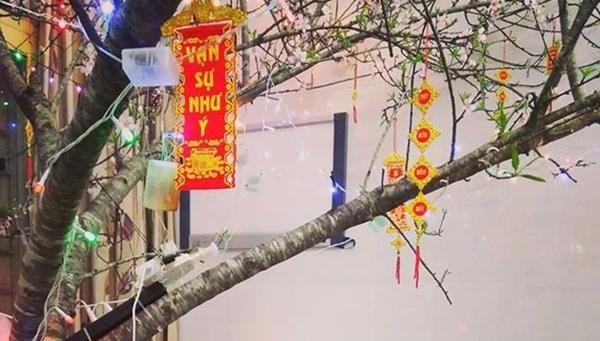 Giao thừa ám ảnh của nữ sinh trường y-1