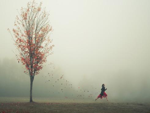 Tử vi thứ Hai ngày 26/2/2018 của 12 cung hoàng đạo