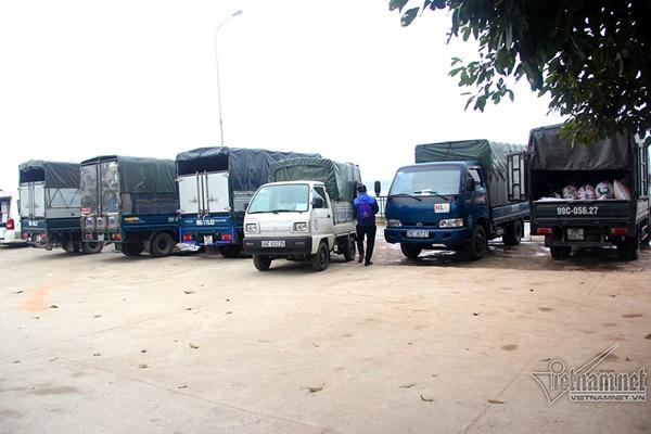 Hà Nội: Cảnh phóng sinh cá lớn nhất trong năm ở sông Hồng-5