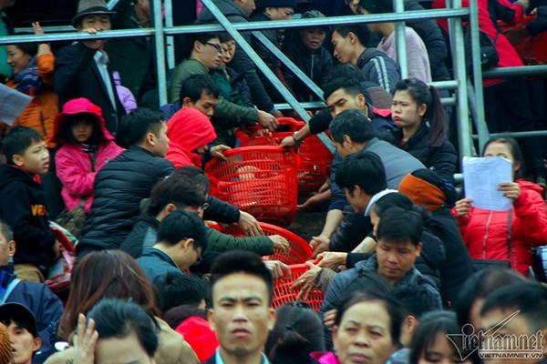 Hà Nội: Cảnh phóng sinh cá lớn nhất trong năm ở sông Hồng-6