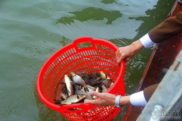 Hà Nội: Cảnh phóng sinh cá lớn nhất trong năm ở sông Hồng-10