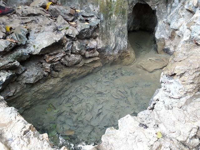 Chen chúc leo ngàn bậc lên núi thiêng lấy ‘nước thánh’-6