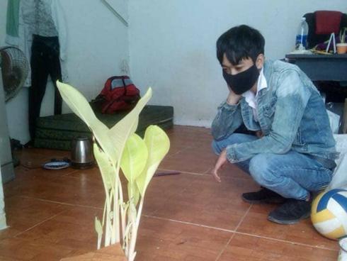 Phòng trọ bỗng dưng mọc cây chuối giữa nền nhà gây tranh cãi trong cộng đồng mạng