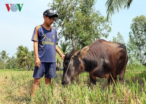 Chuyện chưa kể về 3 cậu bé nghèo ở Sóc Trăng nhặt được 40 triệu đồng-3