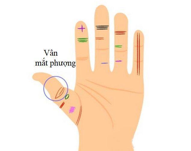 Có những đường chỉ tay này, bạn sẽ có tiền nhiều, tiêu cả đời không sợ hết-2